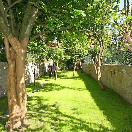 Hostal Alma Oporto